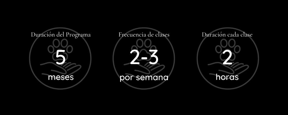 duracionyclases