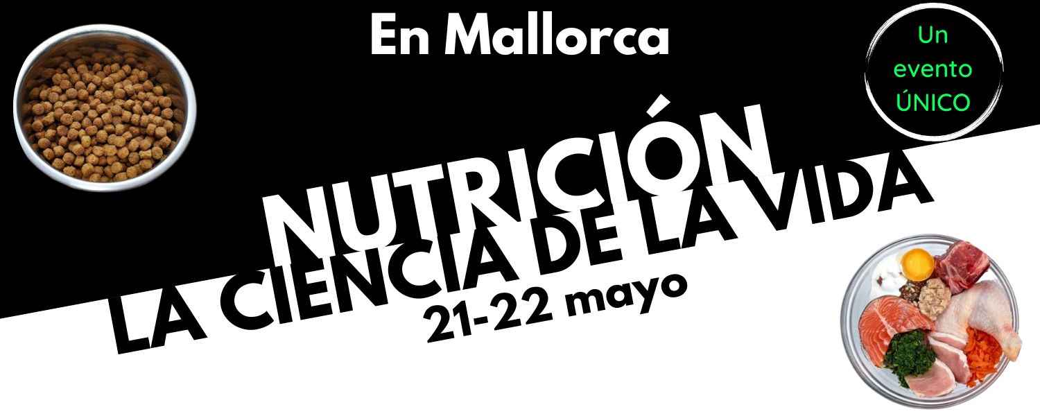 Mallorca1