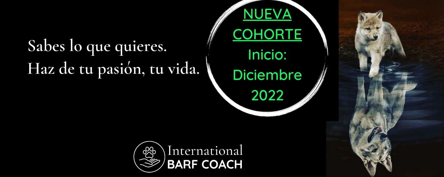 nueva cohorte